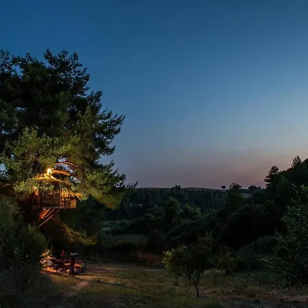 Stunning Treehouse 10 Mins From Sandy Beaches Дом отдыха Amaliada