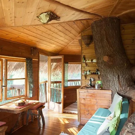 Stunning Treehouse 10 Mins From Sandy Beaches Prázdninový dům