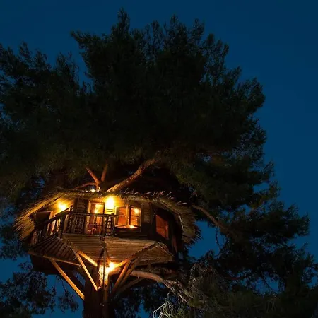 Prázdninový dům Stunning Treehouse 10 Mins From Sandy Beaches