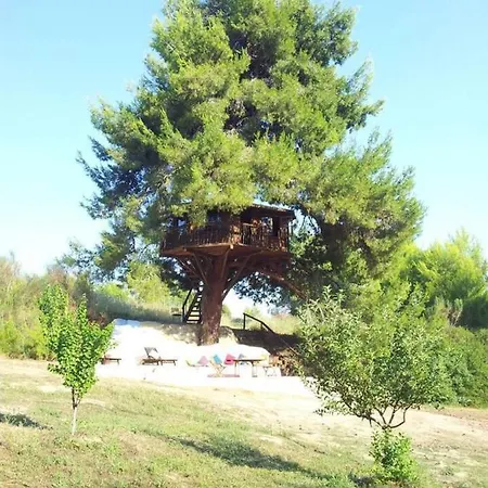 Stunning Treehouse 10 Mins From Sandy Beaches